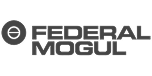Federal Mogul